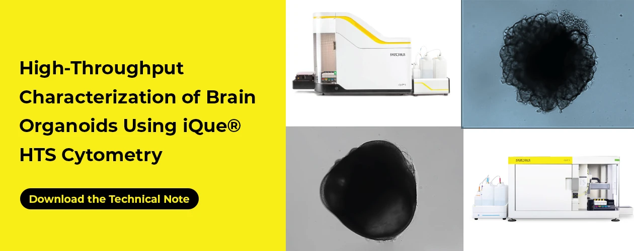 sartorius-ique-hts-brain-organoid-technical-note