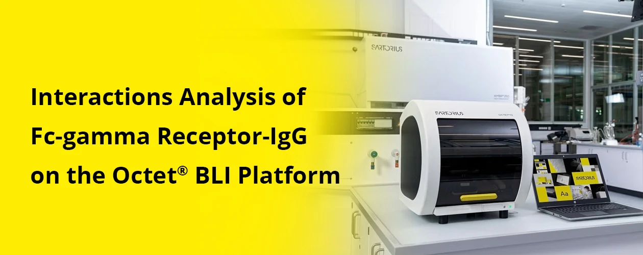 sartorius-analysis-of-fc-gamma-receptor-igg-interactions-on-octet-platform