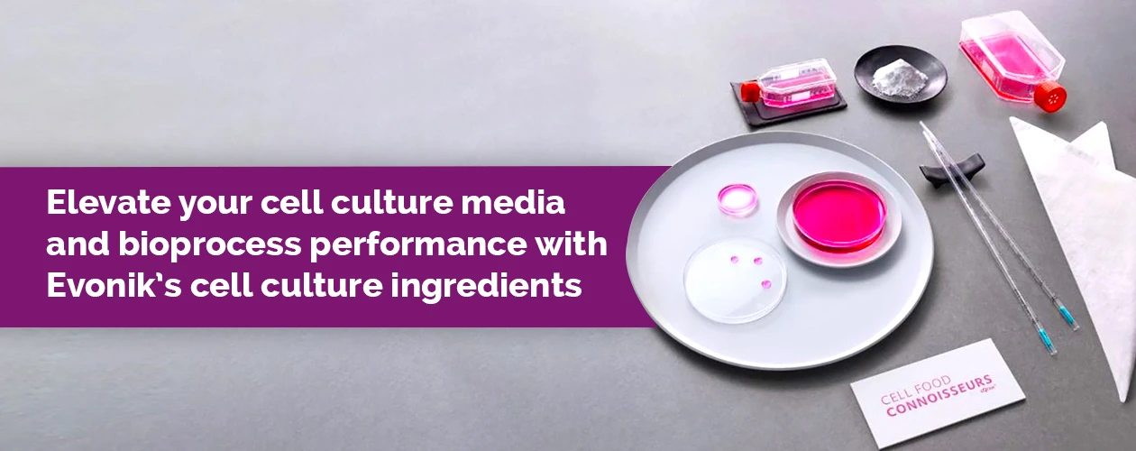 evonik-advanced-solutions