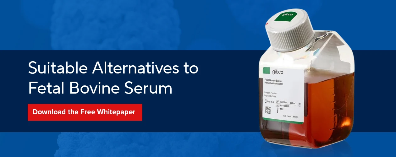 thermofisher-suitable-alternatives-to-fetal-bovine-serum-whitepaper