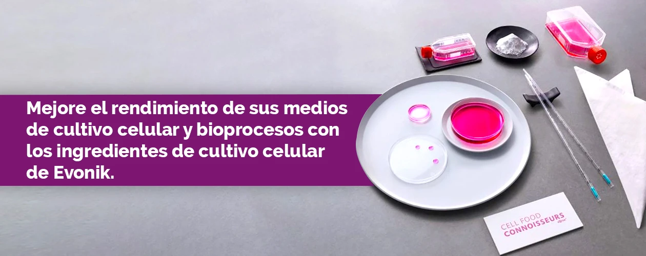 evonik-elevate-cell-culture-media-and-bioprocess-sp