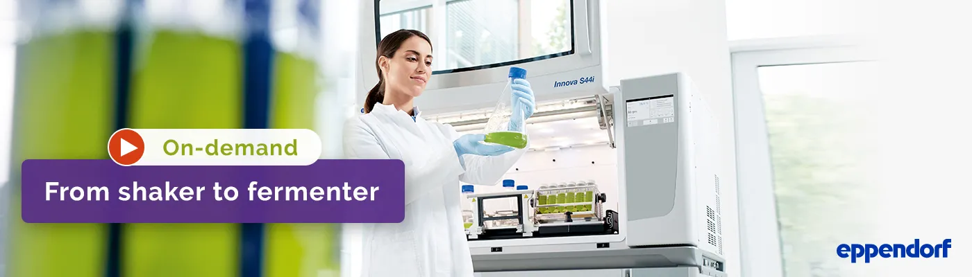 Eppendorf