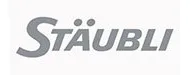 satubli-webinar logo